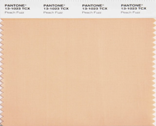 2024 Pantone Color Of The Year: Peach Fuzz