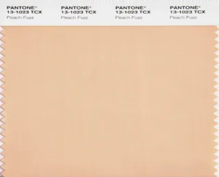 2024 Pantone Color Of The Year: Peach Fuzz