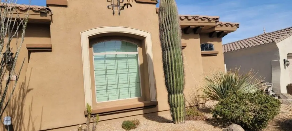 A well-maintained stucco home in Phoenix, Arizona, featuring a desert-friendly landscape with a tall saguaro cactus and drought-resistant plants under a clear blue sky.